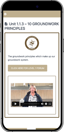 iPhone-Groundwork Certification Programme Unit